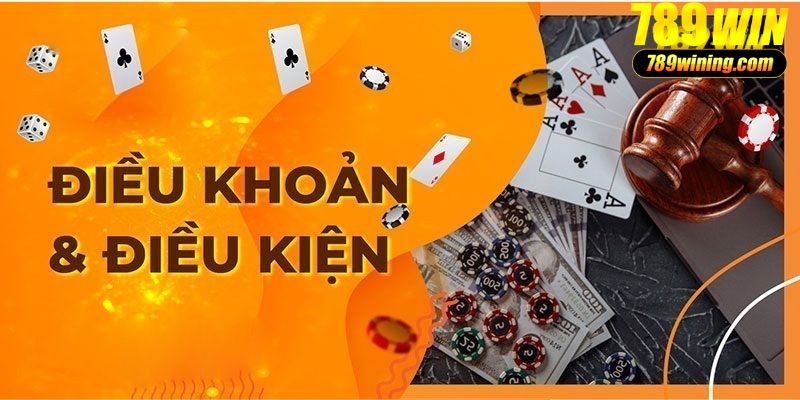 Điều kiện quan trọng khi đăng nhập 789win