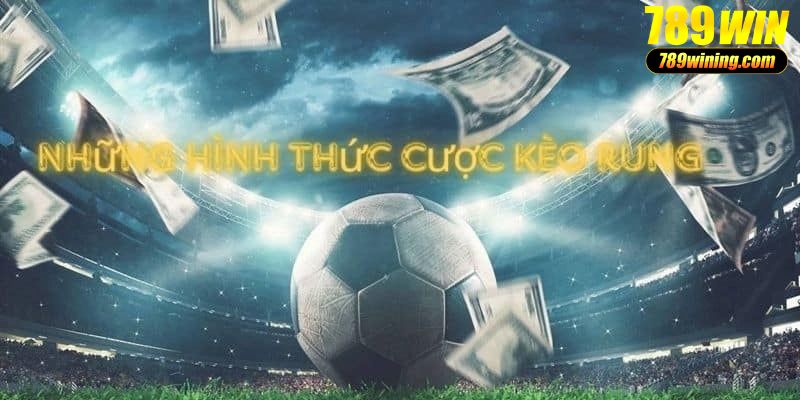 Người chơi có thể lựa chọn nhiều hình thức cược rung khác nhau