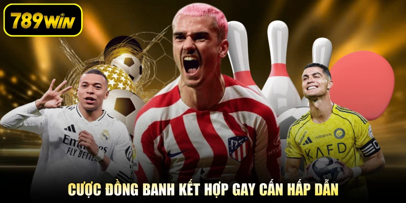 Cược đồng banh kết hợp gay cấn hấp dẫn