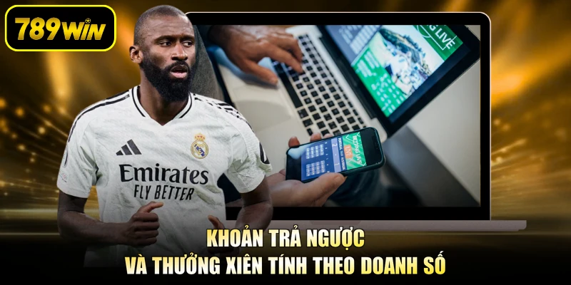 Khoản trả ngược và thưởng xiên tính theo doanh số